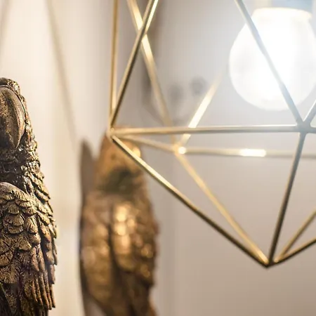 La Vaticana - Saint Peters View - *